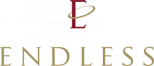 Endless logo
